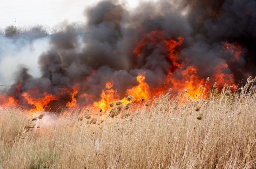  Incendii semnificative de vegetație în acest sezon: au afectat deja 1600 ha, cât 14 parcuri Valea Morilor