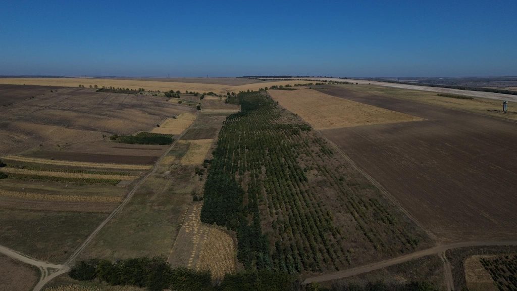 Foto: Plantăm fapte bune în Moldova