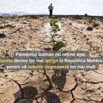 Legătura dintre degradarea solului și secetă în Republica Moldova, evidențiată într-un nou raport