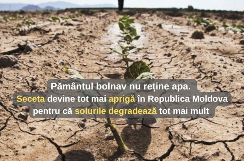  Legătura dintre degradarea solului și secetă în Republica Moldova, evidențiată într-un nou raport