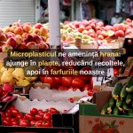 Microplasticul ne amenință hrana: ajunge în plante, reducând recoltele, apoi în farfuriile noastre