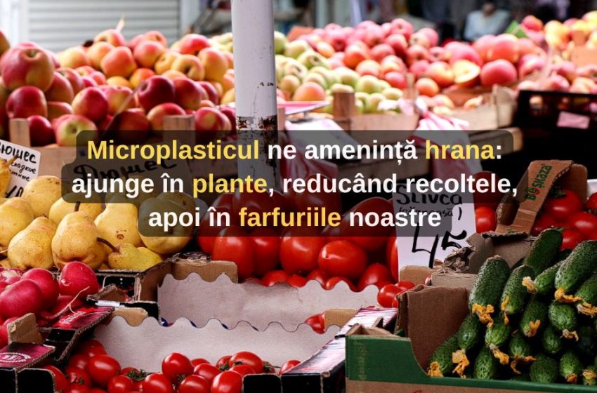 Microplasticul ne amenință hrana: ajunge în plante, reducând recoltele, apoi în farfuriile noastre