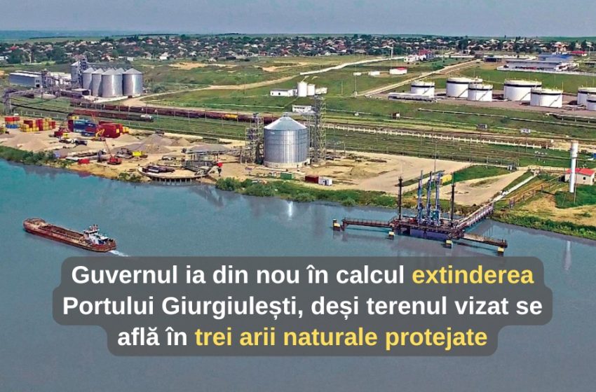 Portul Giurgiulești, extins pe arii naturale protejate? Planul retras revine sub altă formă