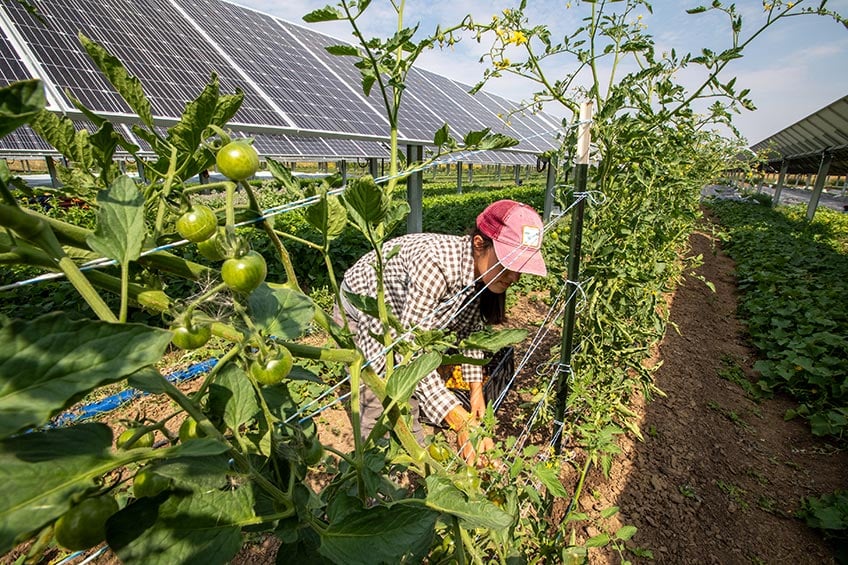 Sursa foto: Werner Slocum, NREL