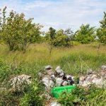 Reportaj FOTO: Când deșeurile devin parte din peisaj, natura spune o altă poveste…