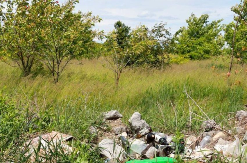 Reportaj FOTO: Când deșeurile devin parte din peisaj, natura spune o altă poveste…