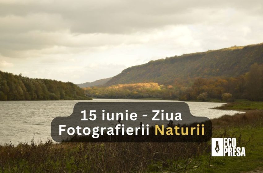 (FOTO) 15 iunie – Ziua Fotografierii Naturii