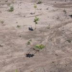 Captarea apei de ploaie, împădurirea și prevenirea incendiilor: cum se adaptează comunitățile locale la schimbările climatice