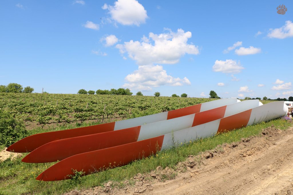 Turbine eoliene din în proces de instalare la Drăgușenii Noi. Ziua Mediului, 2021
