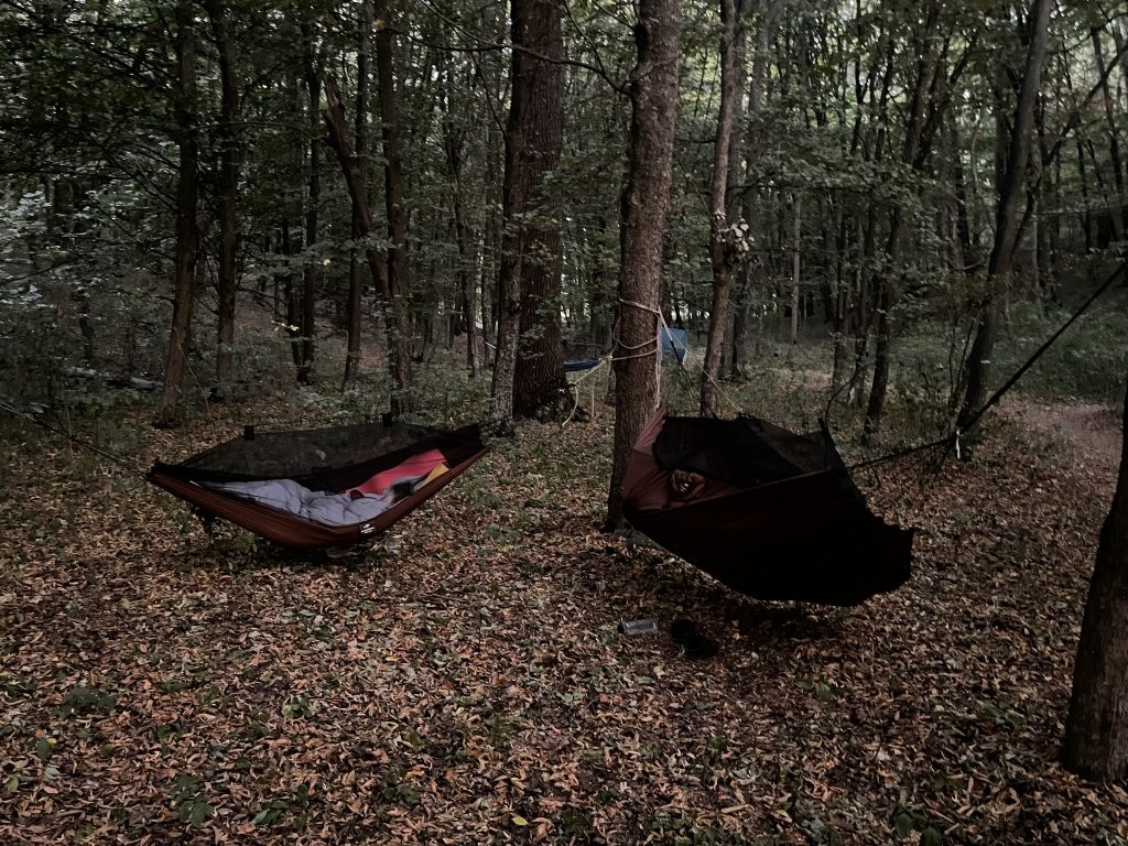 Sursa foto: EcoTabăra, 2023. Rezervația Naturală „Codrii”