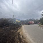 (FOTO) Incendiu devastator la Copanca, Căușeni: flăcările au nimicit vreo 10 ha de vegetație uscată, inclusiv o pădure „moartă” de pin 