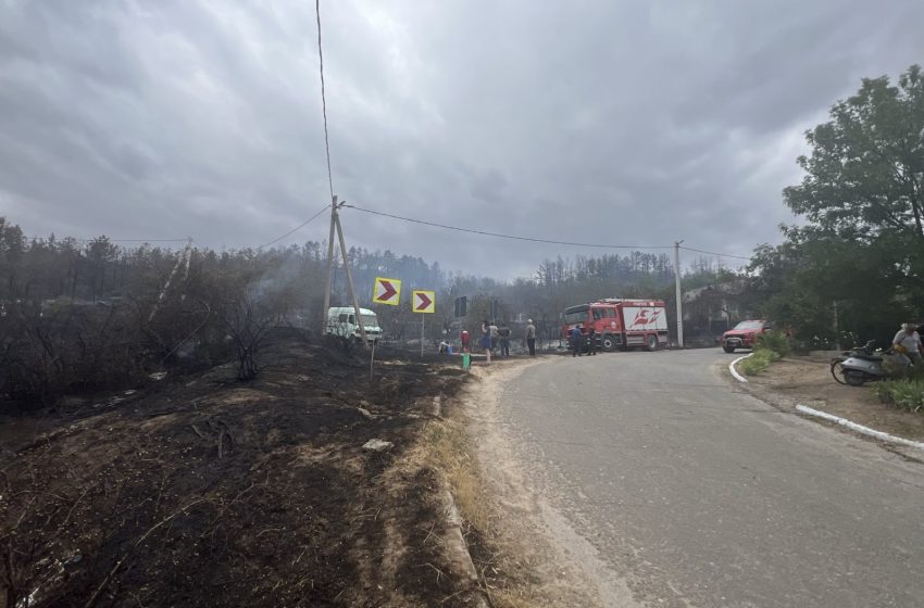 (FOTO) Incendiu devastator la Copanca, Căușeni: flăcările au nimicit vreo 10 ha de vegetație uscată, inclusiv o pădure „moartă” de pin