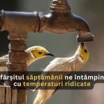 Sfârșitul săptămânii ne întâmpină cu temperaturi ridicate