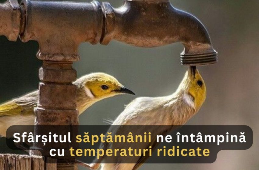 Sfârșitul săptămânii ne întâmpină cu temperaturi ridicate