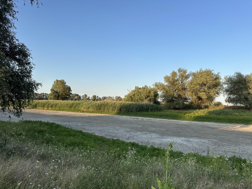 Colmatarea se produce și din cauza faptului că Nistrul Chior nu are suficiente fâșii forestiere care să oprească eroziunea solului în apă, potrivit lui Gabriel Mărgineanu Fotografie de Georgeta Carasiucenco