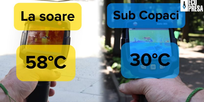 Orașul fierbinte: diferențele de temperatură din Chișinău