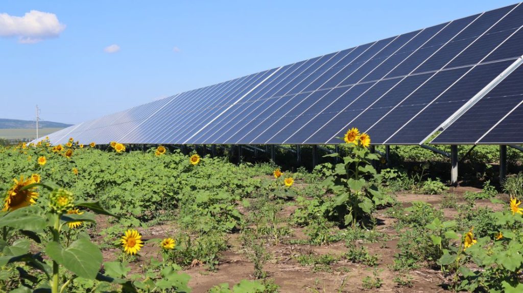 Panouri fotovoltaice la Negureni (Telenești)