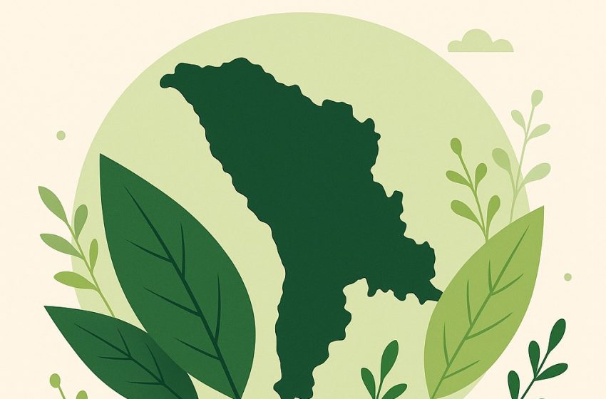 Comunitatea de mediu: Dimensiunea ecologică trebuie să devină prioritate transversală a Guvernului