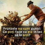 Frunzele nu sunt gunoi: Ce poți face cu ele în loc să le arzi?