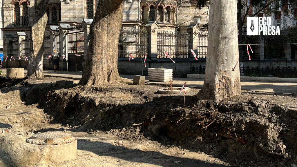 Strada 31 August 1989. Foto: Cătălina Molodoi