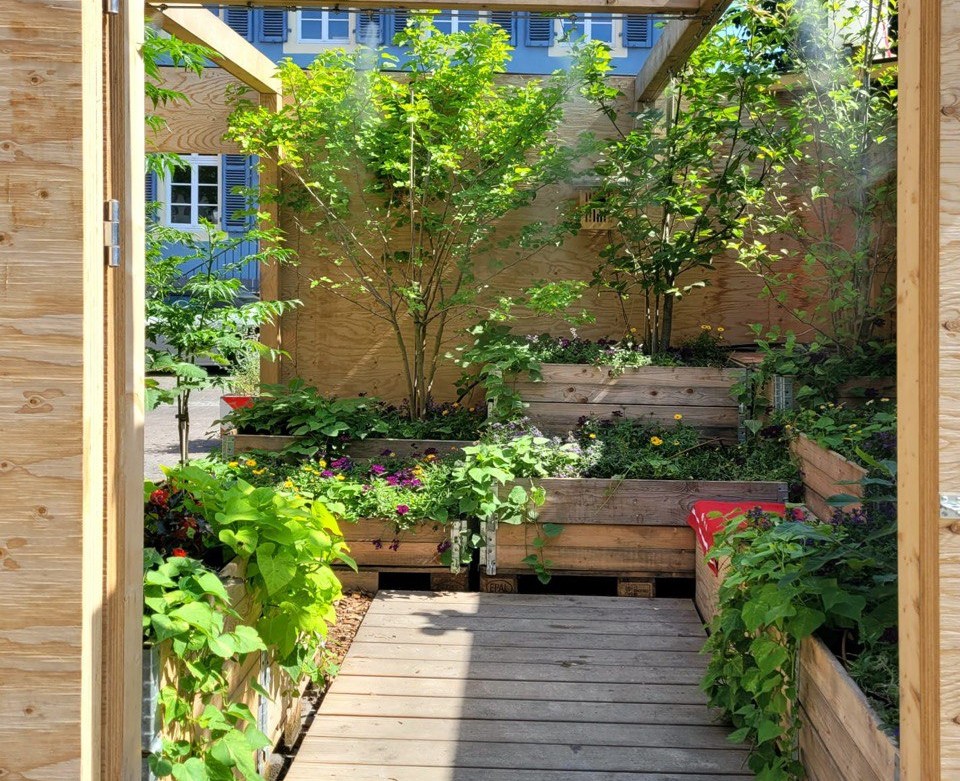 nstalație temporară numită "Klima-Kiste" (Cutia Climatică), o oază pietonală menită să demonstreze soluții de adaptare la schimbările climatice în mediul urban