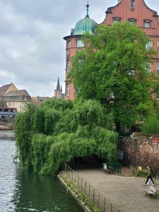 Germania. Foto: Inesa Aprodu