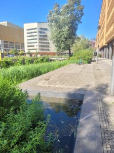 Foto: Inesa Aprodu, Germania