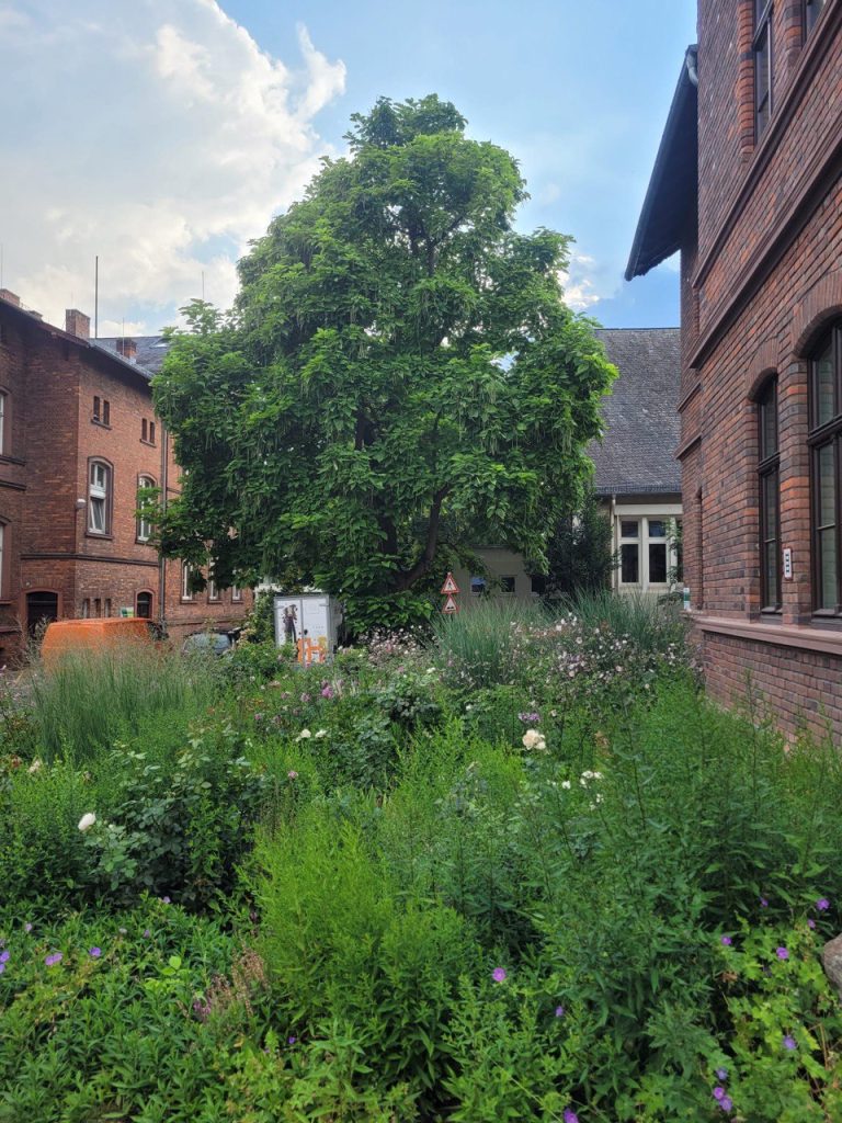 Foto: Inesa Aprodu, Germania