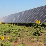 Republica Moldova are noi reguli pentru amplasarea centralelor fotovoltaice