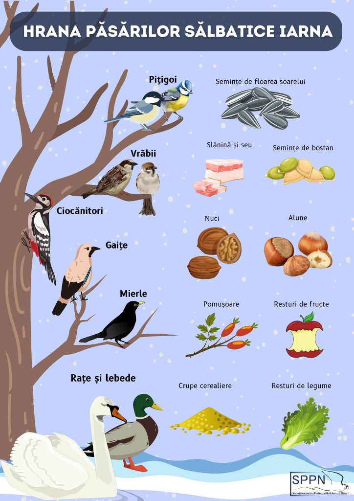 Sursa: Societatea pentru Protecția Păsărilor şi a Naturii