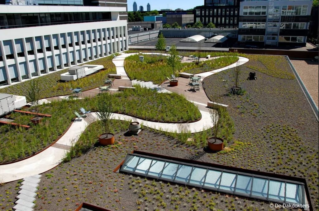 Un parc pe acoperiș, pe strada Vivaldistraat din Amsterdam