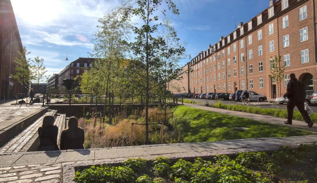 O grădină construită pentru a absorbi apa de ploaie în Piața Tåsinge din Copenhaga, Danemarca. Sursa foto: e360.yale.edu