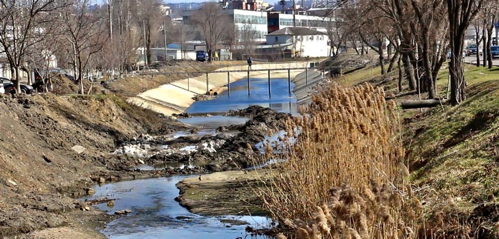 Râul Bâc, 2023. Foto: Ecopresa
