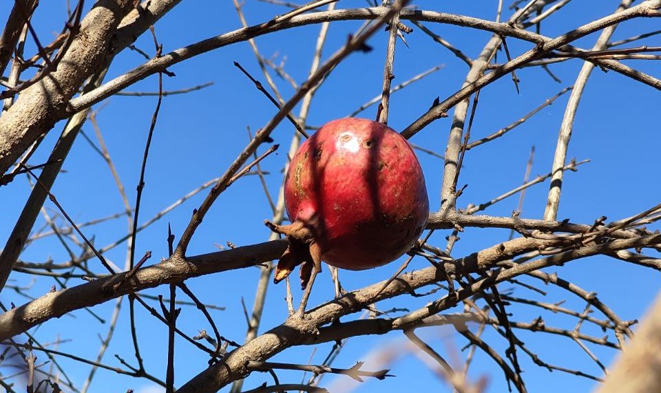 Sursa foto: Arhiva personală a Nadejdei Știrbu
