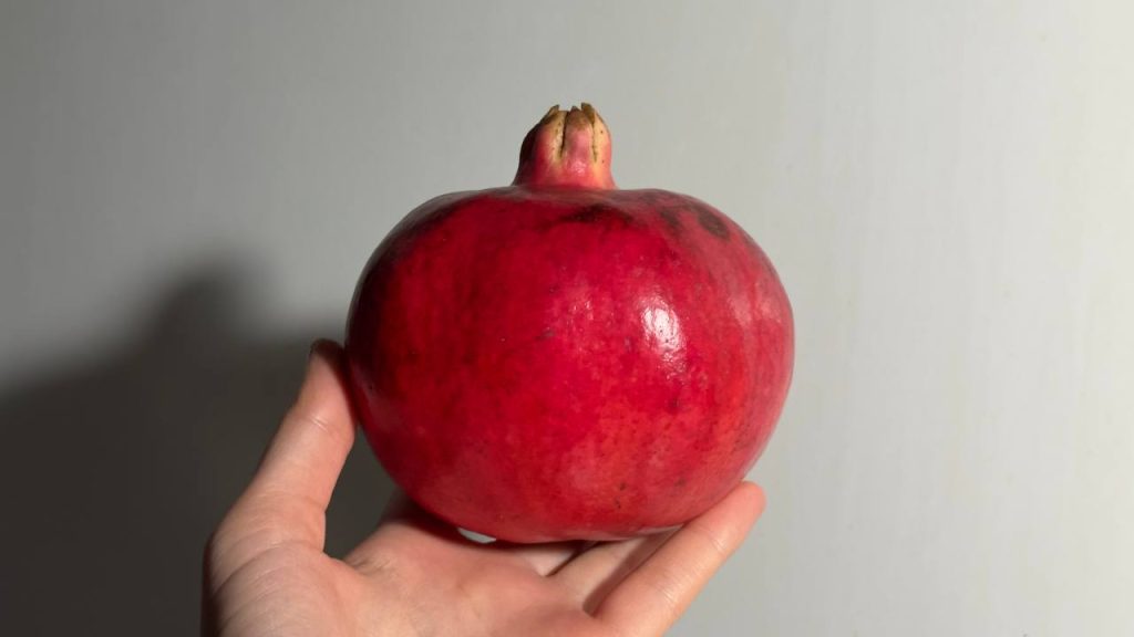 Rodie din grădina lui Vadim. Foto: Ludmila Hițuc