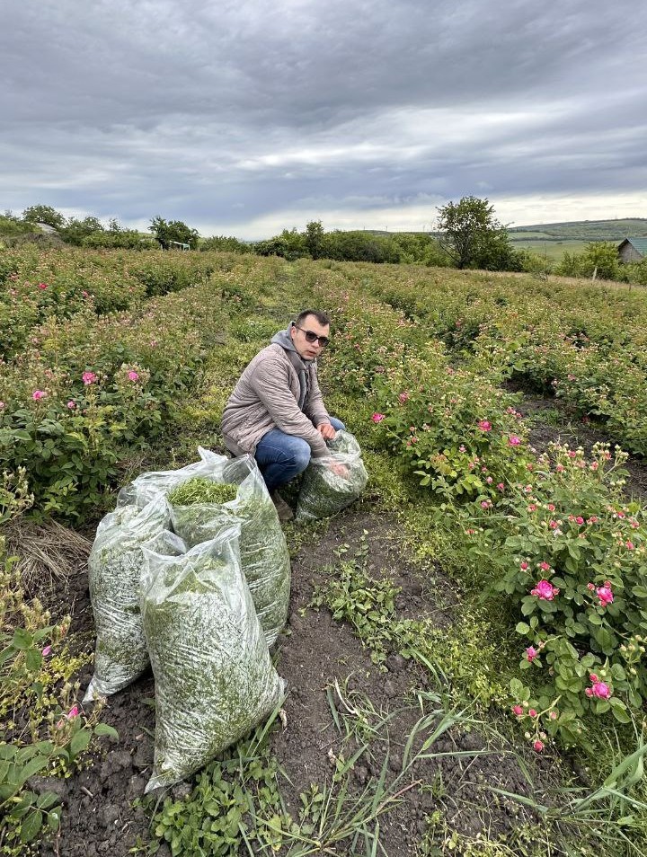 Cristian Melnic, pe câmpul cu plante medicinale tratat cu biofertilizant pe bază de alge și microalge.