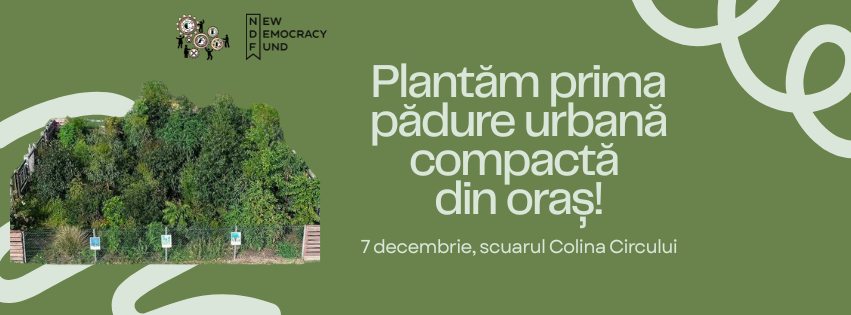  Chișinău va avea prima pădure urbană. Cum poți participa la atelier