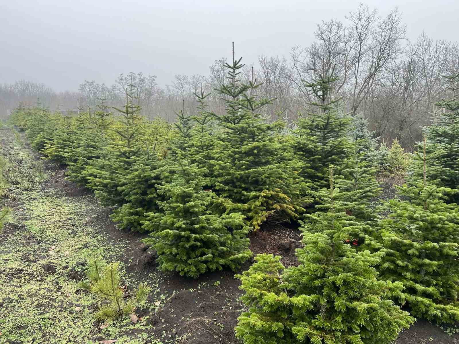 Sursa foto: Agenția Moldsilva