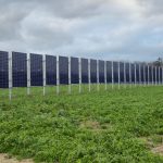 Agrivoltaicele ajung în atenția fermierilor: Ministerul Energiei lansează primul ghid dedicat acestui model de utilizare dublă a terenurilor