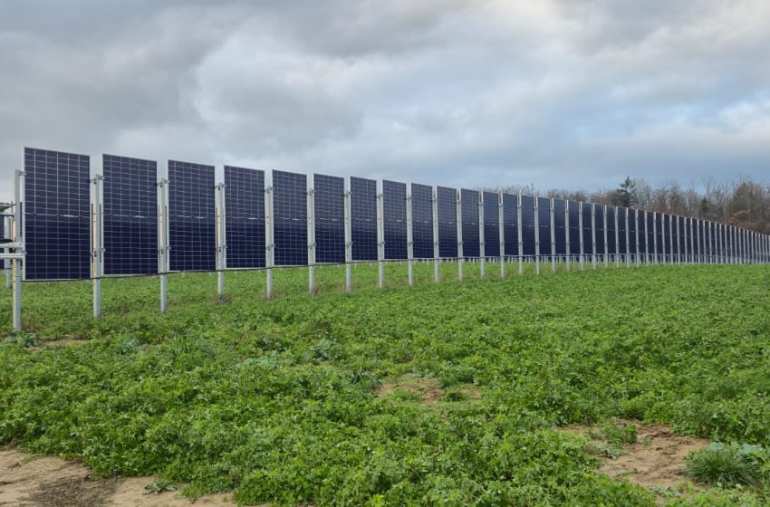  Agrivoltaicele ajung în atenția fermierilor: Ministerul Energiei lansează primul ghid dedicat acestui model de utilizare dublă a terenurilor