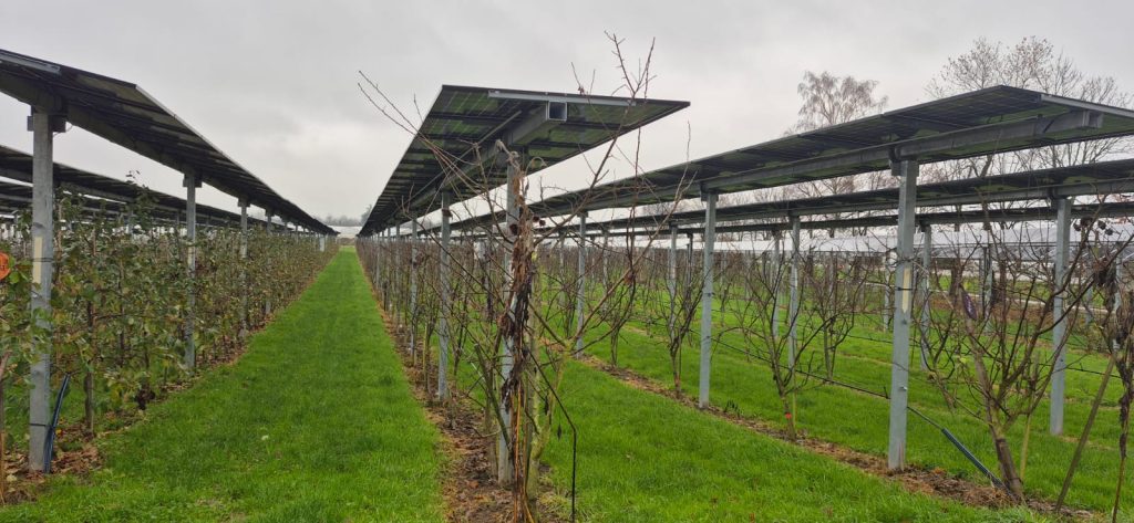 Sursa foto: Ministerul Energiei