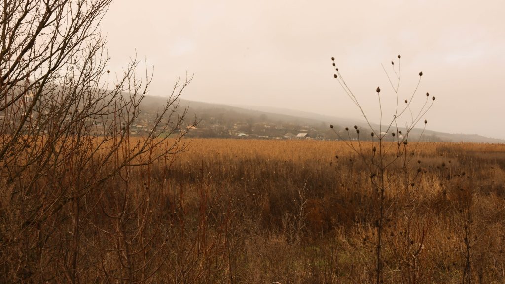 Fostul iaz Molovateț, secat. Foto: Sergiu Guțu