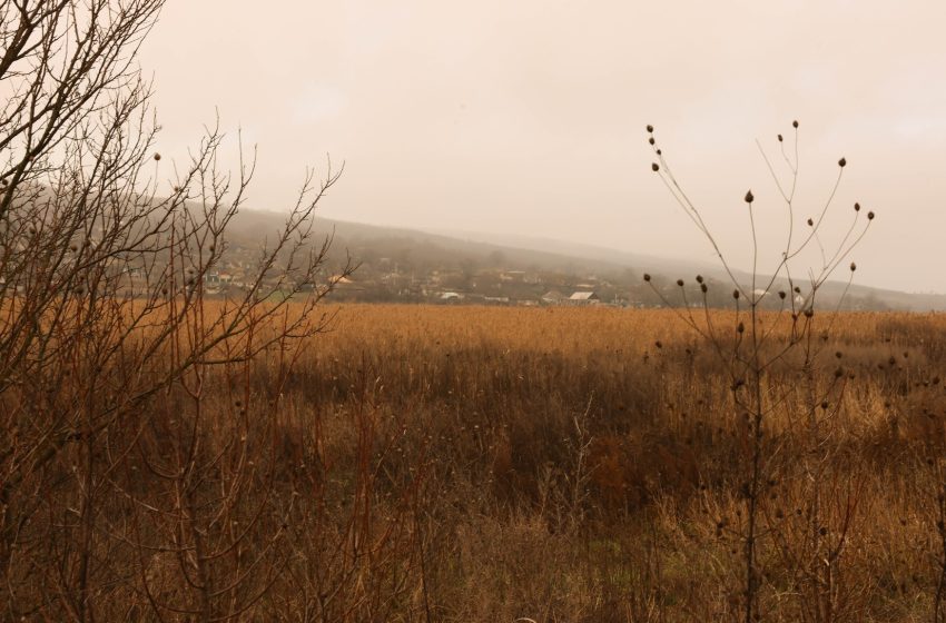  Studiu ecologic pentru trei sate din Telenești: apa din fostul iaz Molovateț nu va mai reveni