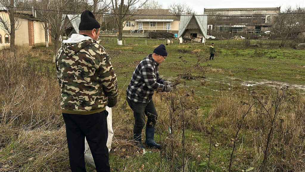 Primarul Ion Harea îndepărtând speciile invazive, și anume curnuții