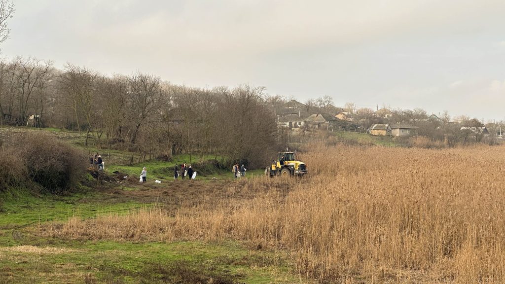 Participanții în acțiune