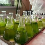 Agricultura viitorului începe din sol: o soluție testată care ajută pământul să facă față secetei