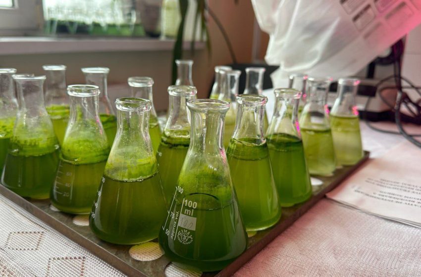  Agricultura viitorului începe din sol: o soluție testată care ajută pământul să facă față secetei