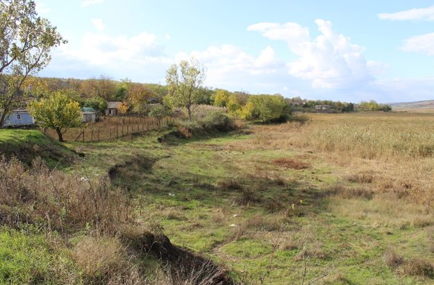 Albia fostului iaz lângă curți, fundul complet uscat, acoperit de vegetație ierboasă discontinuuă.