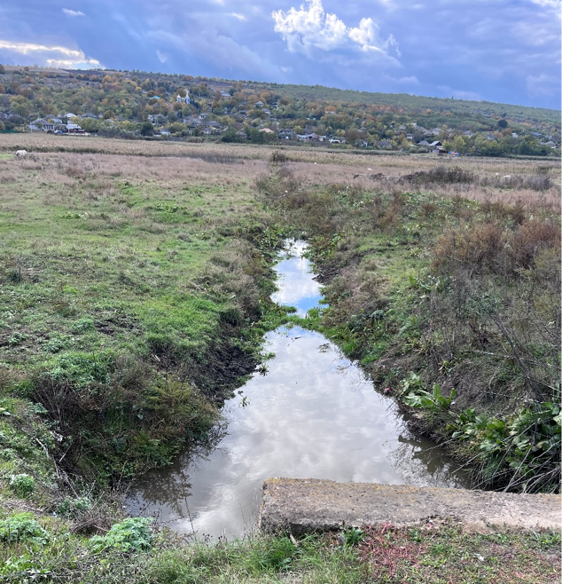 Soluri argilo-saline cu urme de activitate biologică; proces natural de drenaj și autoreglare. Foto din cadrul studiului