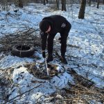 Peste o mie de arbori tăiați ilegal la Ocolul Silvic Ghidighici. Prejudiciul depășește 567 de mii de lei